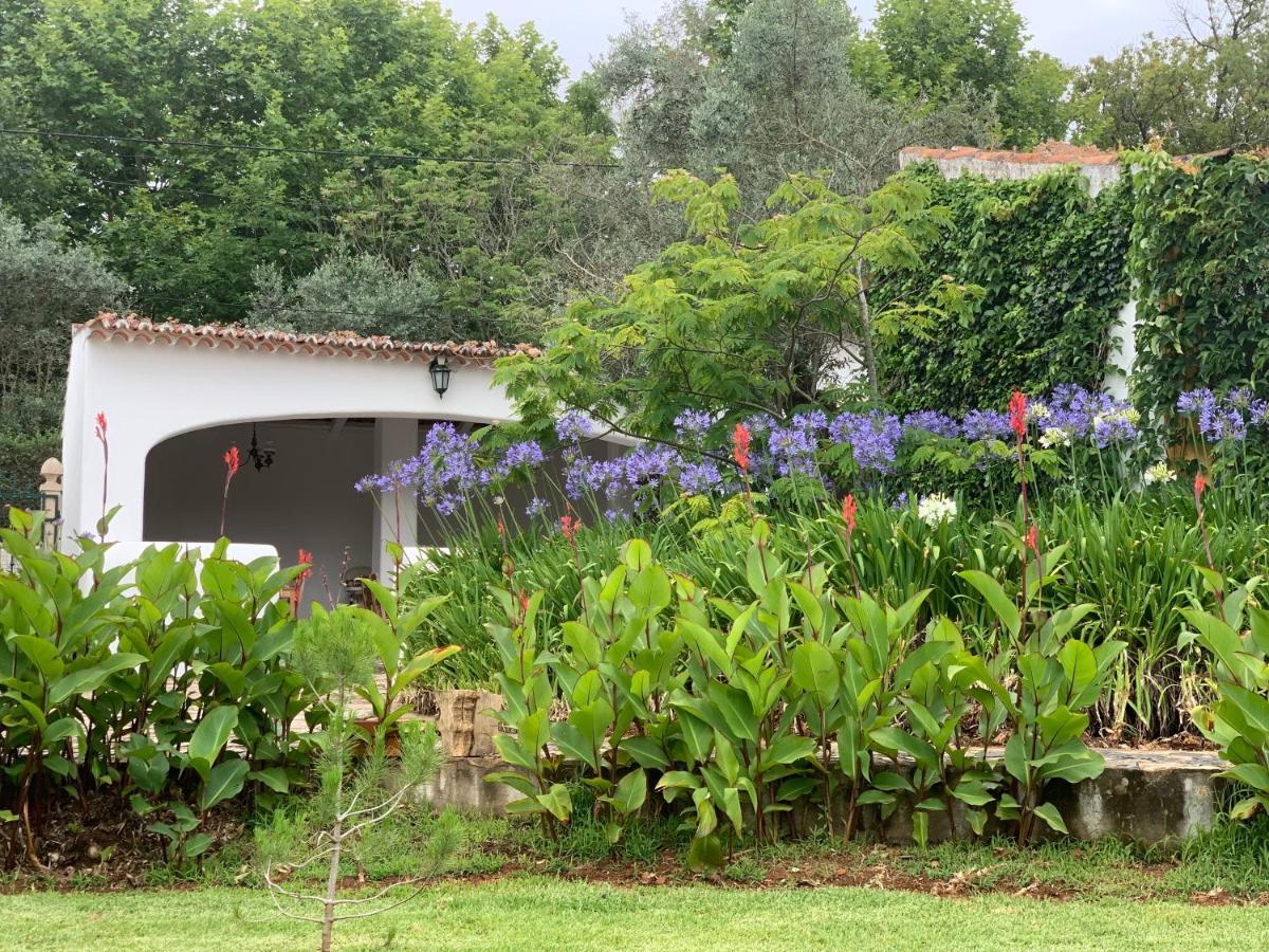 Appartement Quinta Dos Girassois Fz à Ferreira do Zêzere Extérieur photo